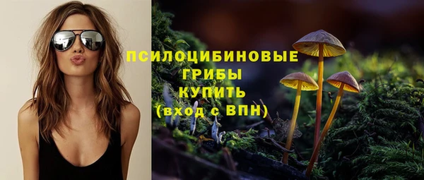 марки nbome Коряжма