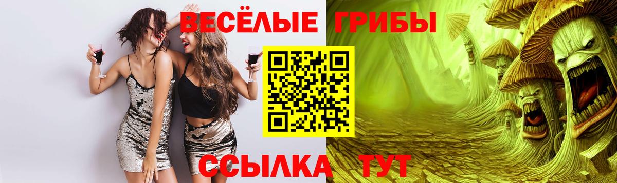 Галлюциногенные грибы MAGIC MUSHROOMS Шахты